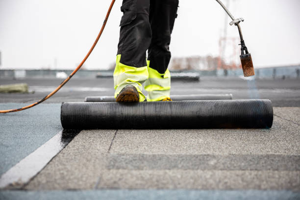 Best Emergency Roof Repair Services  in Ensley, FL
